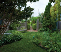 Garden Garden