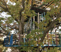 Tree house Tree house