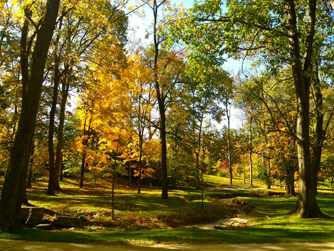 Indiana University