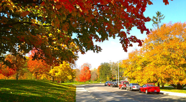 Indiana University