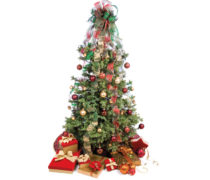 Christmas Tree Christmas Tree