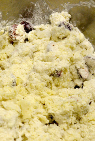 Cranberry Scone Cranberry Scone