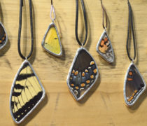 Butterfly Road Butterfly Road
