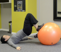 Hamstring Curl Hamstring Curl