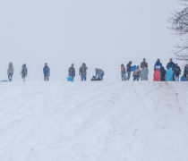 Snow Day Snow Day