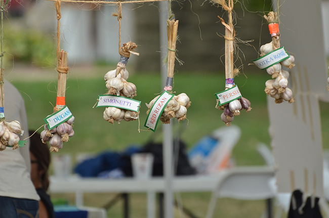 Garlic burgers and garlic pizza have been the most popular foods at past festivals. Photo by Scott Higgins