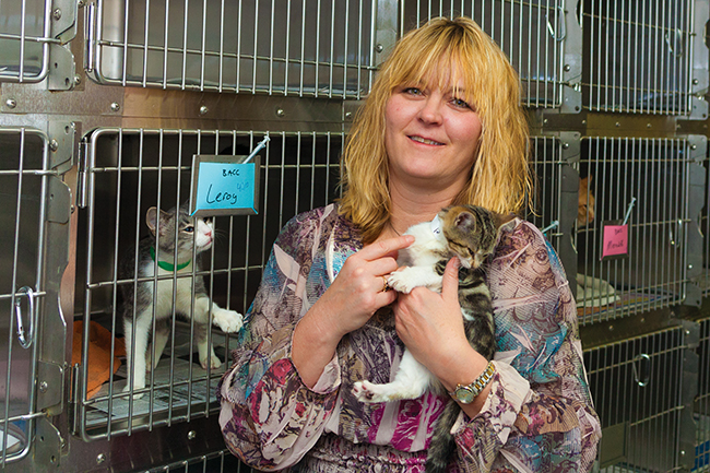 Karla Kamstra with furry friends at Pets Alive. Photo by James Kellar