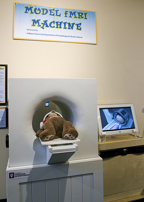 A teddy bear gets a brain scan in a model MRI. Photo by Kendall Reeves