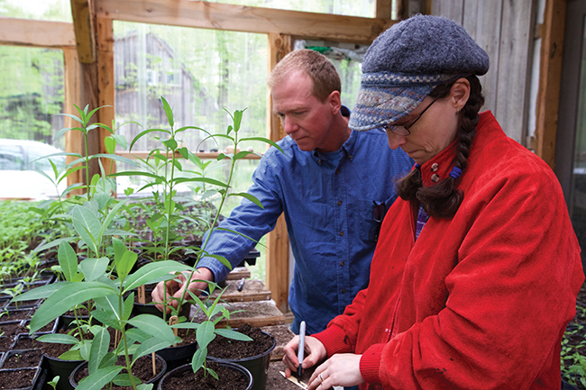 (l-r) Sean and Denise Breeden-Ost caring for milkweed plants. Photo by Jim Krause