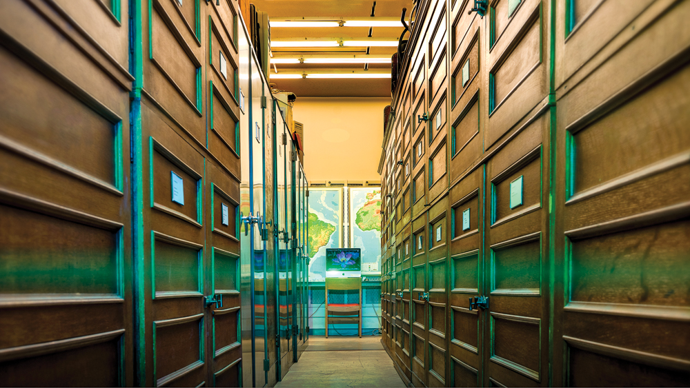 Inside Indiana University’s Herbarium. Photo by Martin Boling