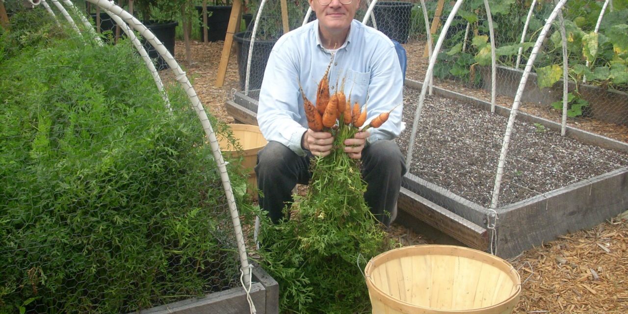 The Origins of Our Vegetable Garden (See Gallery)