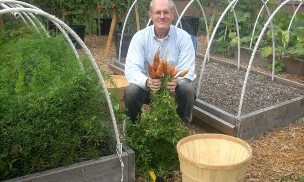 The Origins of Our Vegetable Garden (See Gallery)