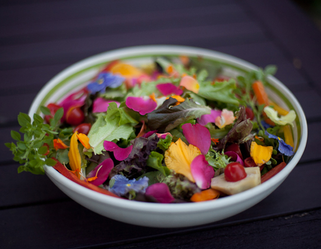 Recipe of the Week: Vinaigrette Dressing with Candied Walnuts