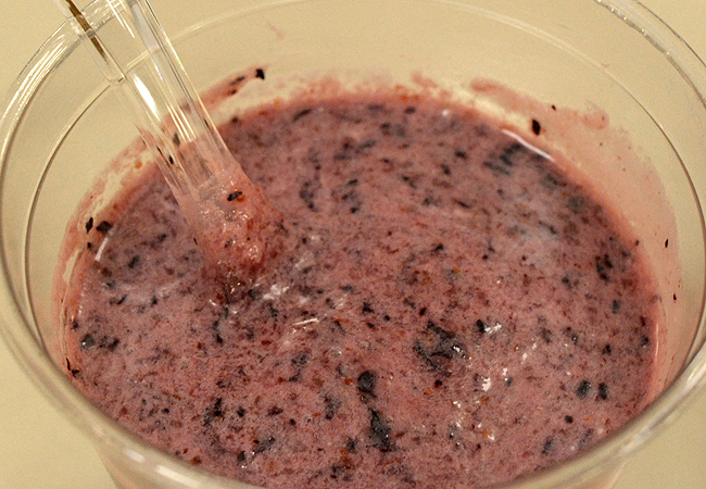 Recipe of the Week: Blueberry Soup
