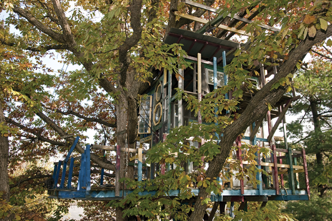 The Joys of a Tree House