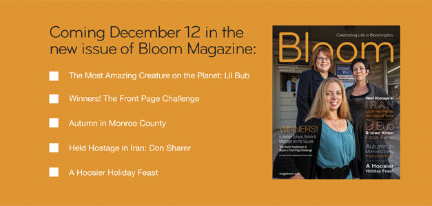 December 2012/January 2013 Sneak Peek!