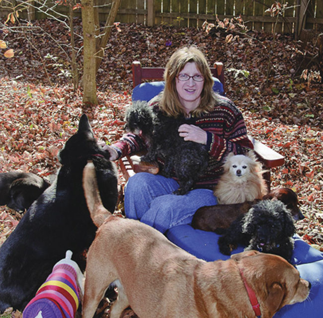 The Nest: A Last Resort for Down-and-Out Dogs