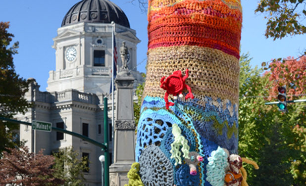 Knitting to Heal: Trees That Please Decorate Downtown (Photo Gallery)