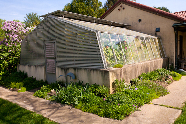 Oranges, Limes, Bananas, and Figs Can Grow Year-Round in Bloomington