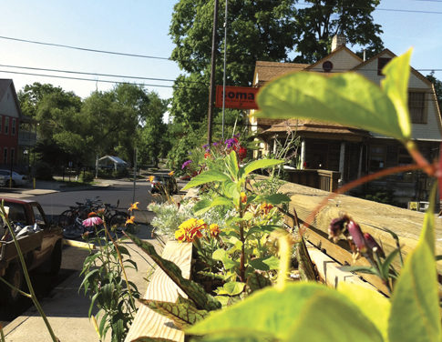 Bread & Roses Gardens: Purveyors of Edible Plants