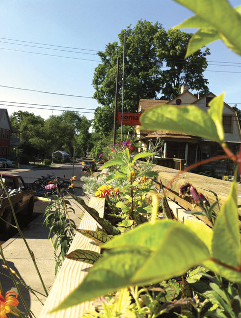 Bread & Roses Gardens: Purveyors of Edible Plants