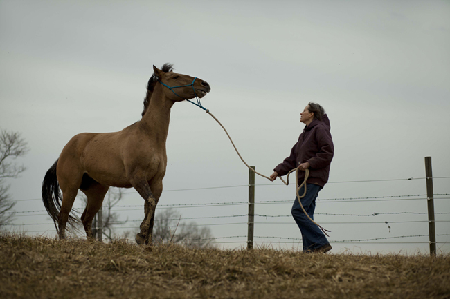 Horse-Angels: An Equine Rescue Center with Bushels of Heart (Photo Gallery)