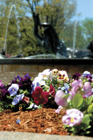 Spring IU Spring IU