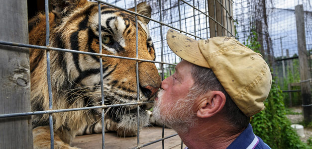 Saving ‘Big Cats’