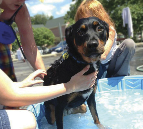 Middle Way’s PAWSS Program Provides Safe Haven for Pets