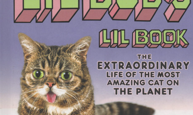 Lil Bub: Fame Is Not Fleeting for B-town’s Favorite Feline