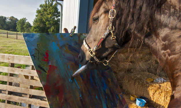 Justin The Artistic Horse, Painting His Way to Fame
