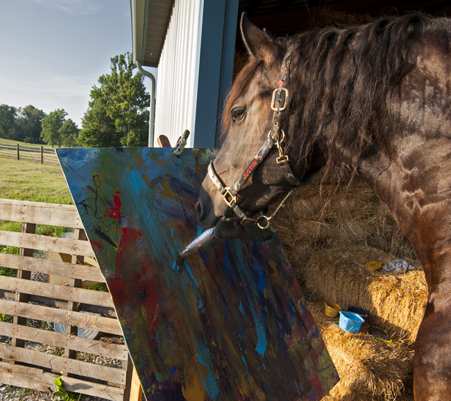 Justin The Artistic Horse, Painting His Way to Fame