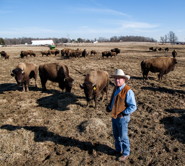 A Monroe County Ranch Where the Buffalo Roam (Photo Gallery)