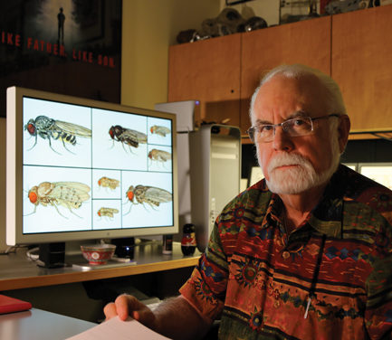 IU Leads the Way in Study of ‘Genetic Workhorse’: The Humble Fruit Fly