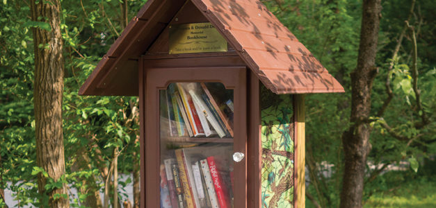 Little Libraries Springing Up All Over Town