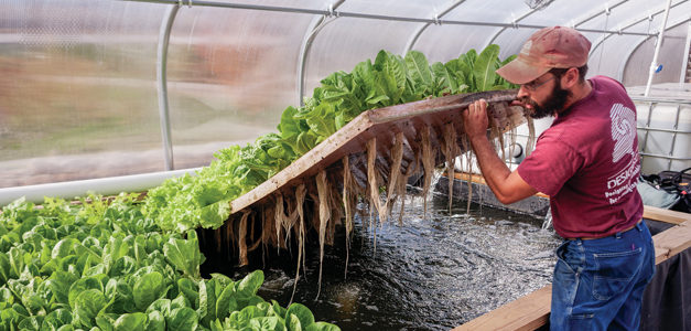 Synergetic Farming Fish and Plants Puts Fresh Food on Table All Winter (Photo Gallery)