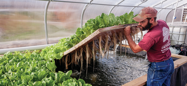 Synergetic Farming Fish and Plants Puts Fresh Food on Table All Winter (Photo Gallery)
