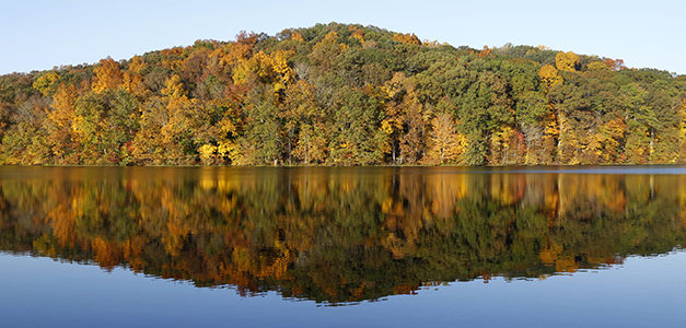 Bloomington in Autumn: Photographed by Peter Hamlin (Photo Gallery)