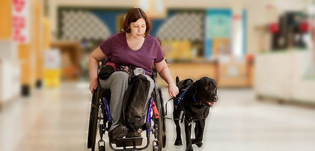 How Herbie And Other Trained Dogs Help Humans With Limited Mobility