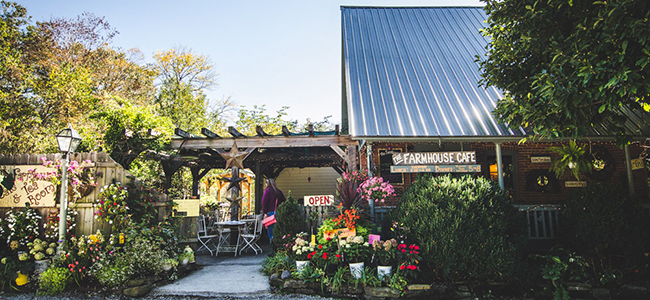 Farmhouse Cafe and Tea Room: It’s Tricky to Find but Worth the Drive