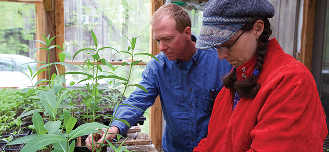 Local Farmers Saving Monarchs and Offer Kits So You Can, Too!