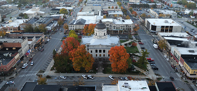 Sponsors Wanted: Campaign On To Replace Sick Trees