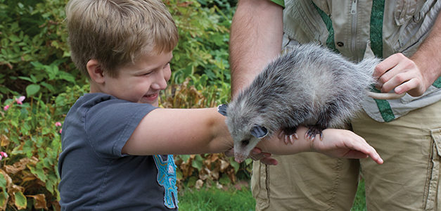 Fun, Healthy, Educational Ways to Celebrate at Children’s Birthday Parties