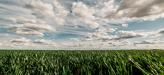 Memorable Images of Places Close to Home