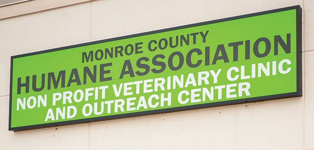 New Vet Clinic Offers Services For Low-Income Pet Owners