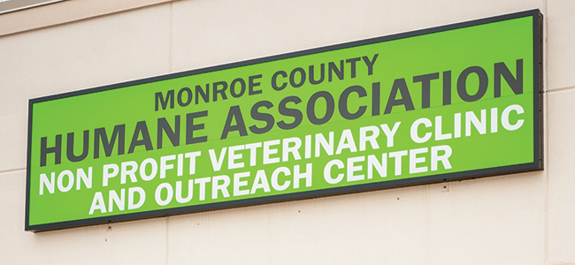 New Vet Clinic Offers Services For Low-Income Pet Owners