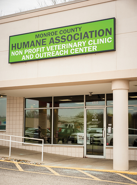 New Vet Clinic Offers Services For Low 
