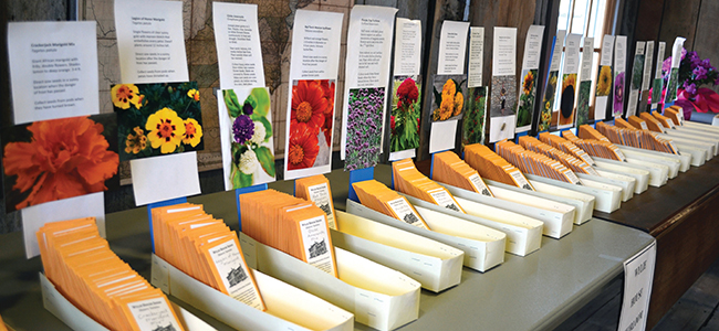 Wylie House Heirloom Seed Sale March 4 Supports Genetic Diversity