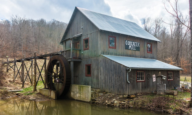 Cox Creek Mill: Where Detritus Becomes Art