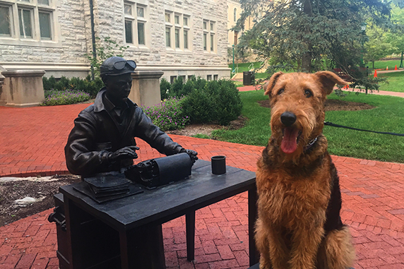 Indiana University: Gone to the Dogs!